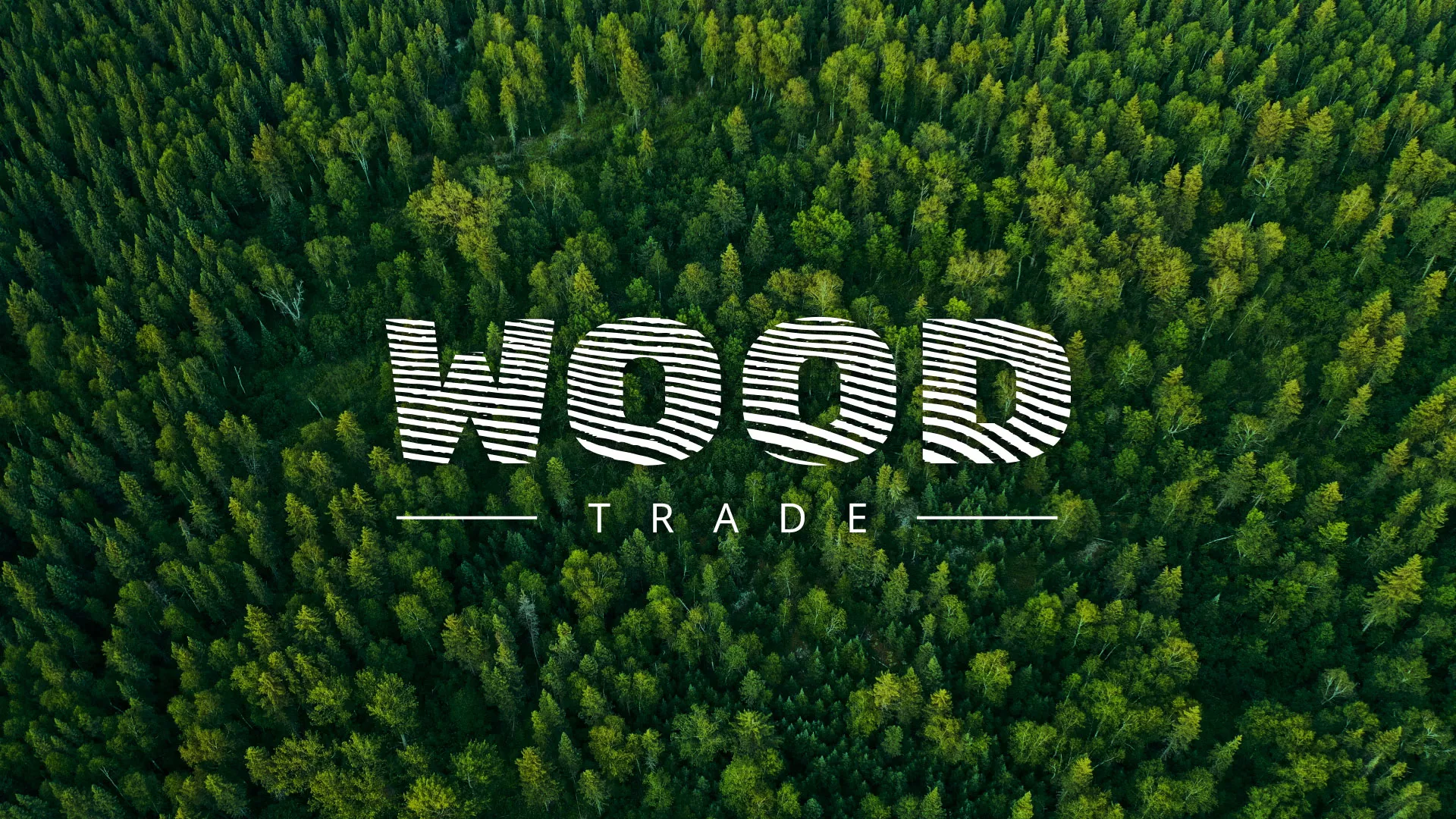 Разработка интернет-магазина компании «Wood Trade» в Камышлове